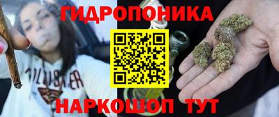 гидра Кимры