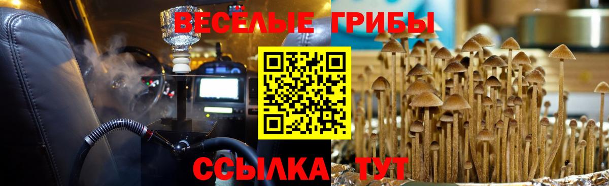 Галлюциногенные грибы мухоморы Сальск